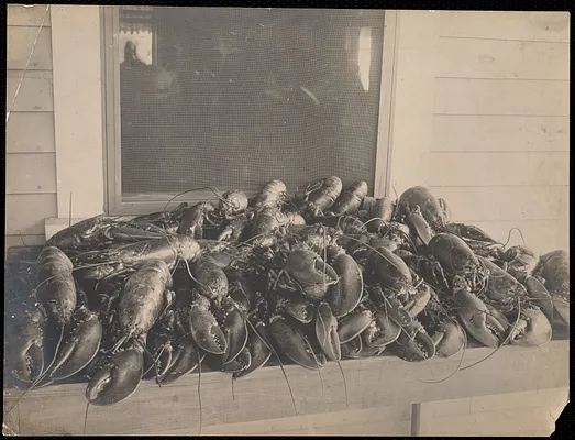 Lobsters