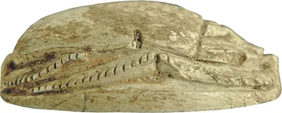 p. 2