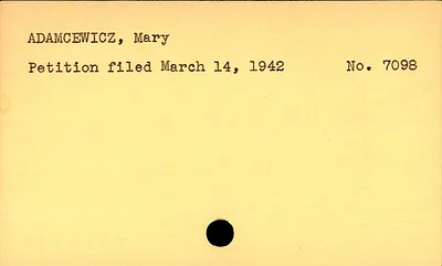 p. 46