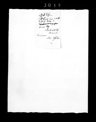 p. 31