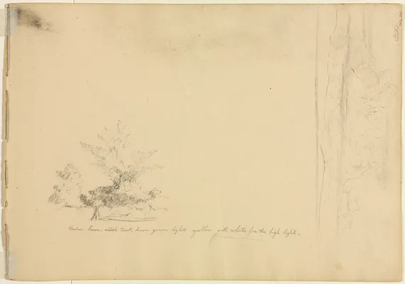 Landscape and Tree Studies (verso)