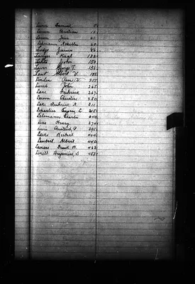 p. 20