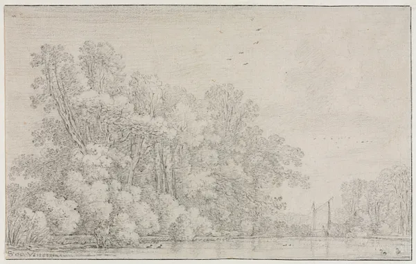 River Landscape
