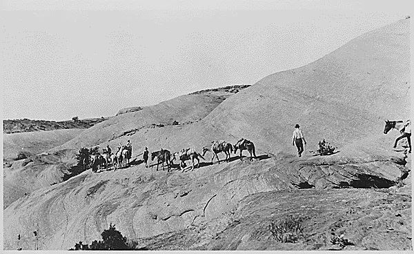 Discovery party and horses on hot, slick rocks west of Navajo Mountain on their way to Rainbow Bridge, Utah. By Neil M. Judd, August 13, 1909