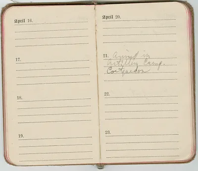 p. 29