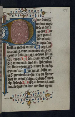 Foliate Initial ""D""