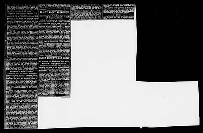 p. 4