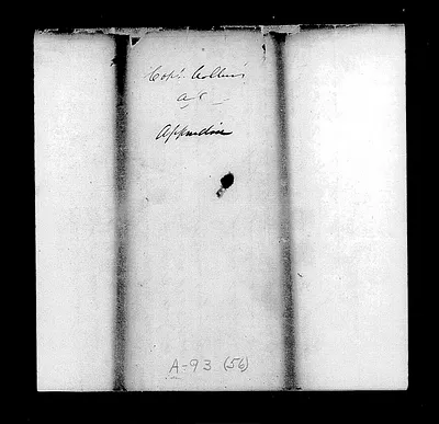 p. 29