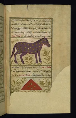 Pegasus (Caption Missing) and Triangulium