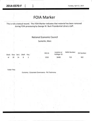 Economy : Corporate Governance - Pitt Testimony