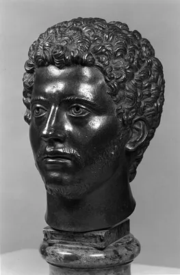 Head of the Young Marcus Aurelius (?)