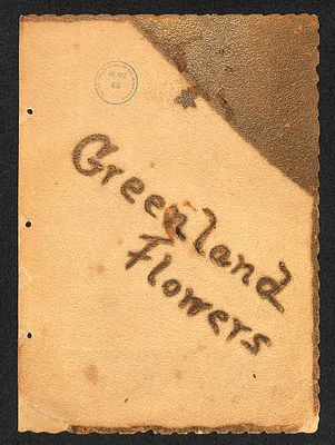 Greenland Flowers