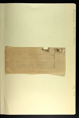 p. 59