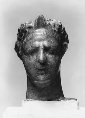 Male Head with Laurel Leaf