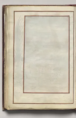 Border, folio 41 (verso), from Florilegium (A Book of Flower Studies)