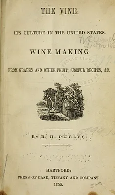 The vine