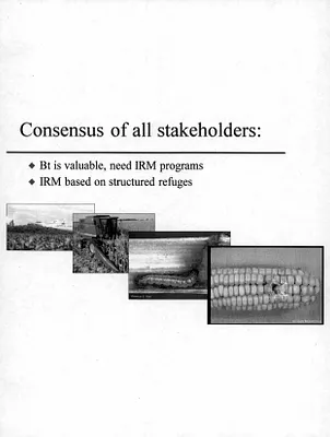 p. 11