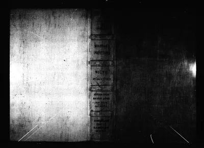 p. 7