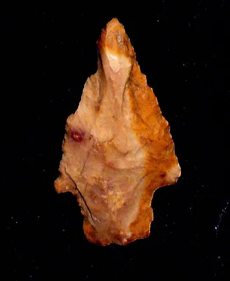 Indian arrowhead from Georgia and North & South Carolina