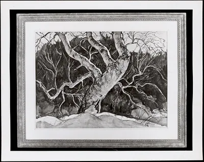 Single birch tree by W. Lester Stevens, watercolor on paper