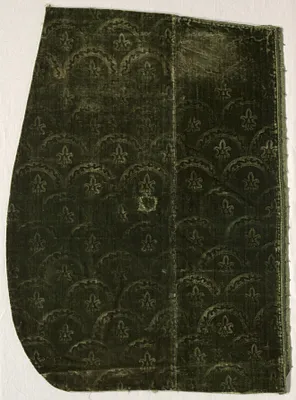 Fragment of Stamped Velvet