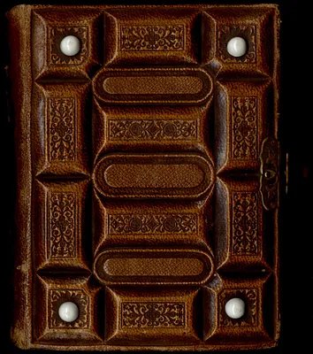 The photographic album