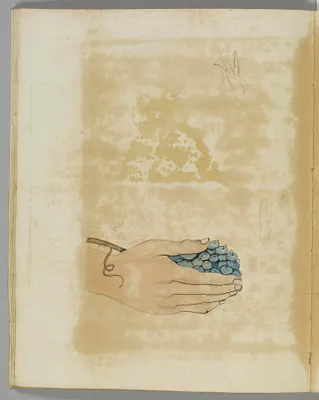 Emblematical Figures, Representations and Etc. to Please the Eye