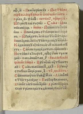 p. 15
