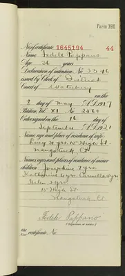 p. 46