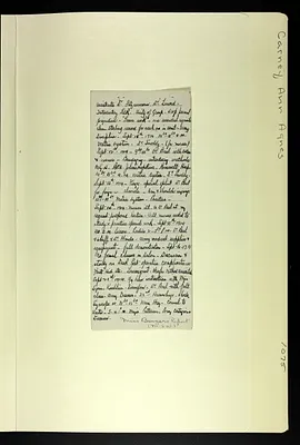 p. 8