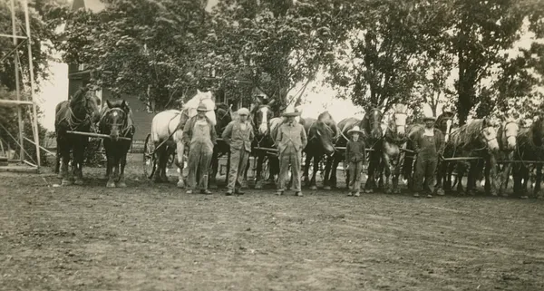 Neighbors with their horses and plows, 1935