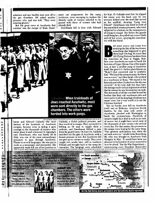 p. 33