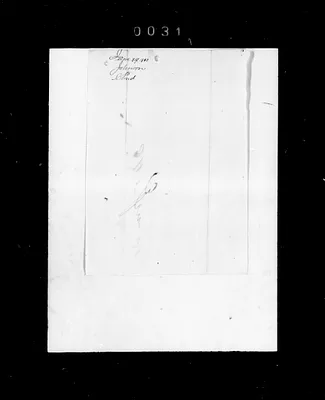 p. 41