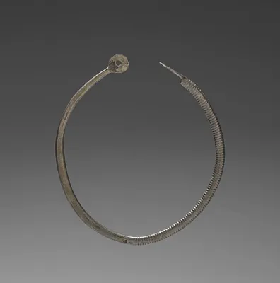 Nose Ring (?)
