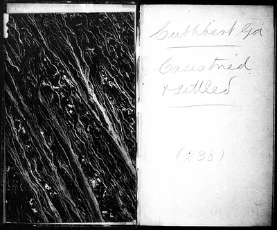 p. 17