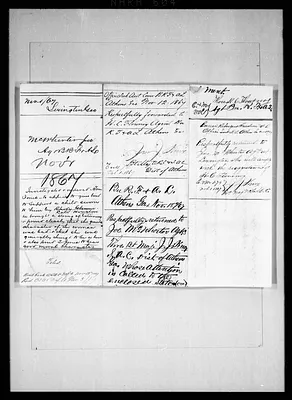p. 29