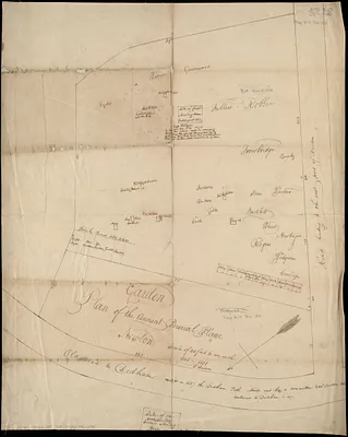 Plan of the ancient burial place Newton