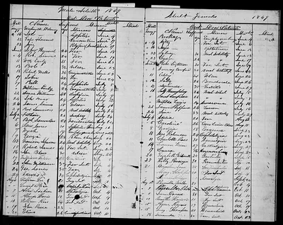 p. 19