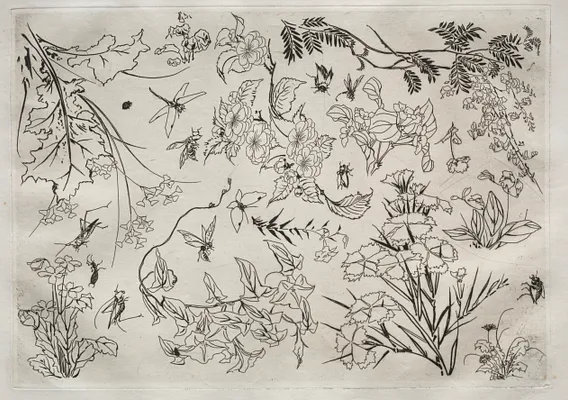 Dinner Service (Rousseau service): Flowers (no. 22)