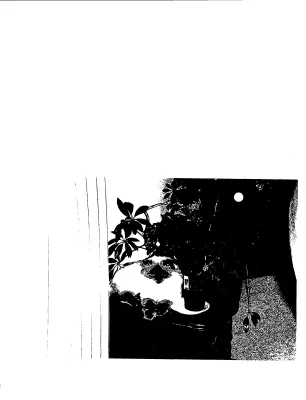 Cards to "Socks" the First Cat [Scrapbook] [4]