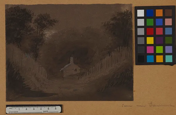 Small House Among Trees