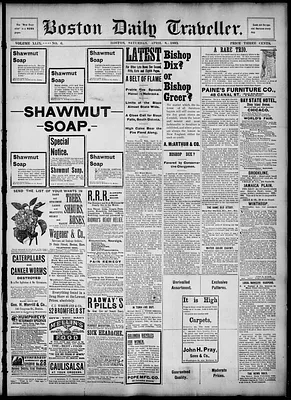Boston Daily Traveller