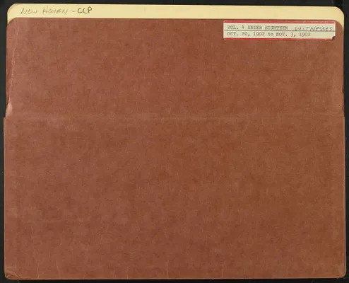Records of Testimony of Witnesses for Minors Naturalized, Volume 4, 1902