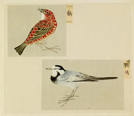 Leaf from Album Depicting Small Birds