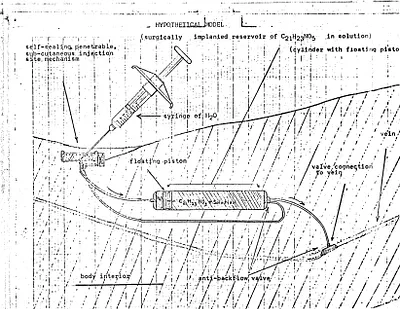 p. 36