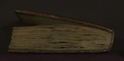 p. 7