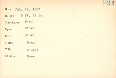 p. 43