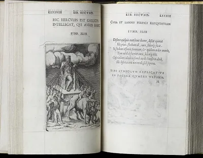 p. 5