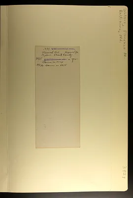 p. 21