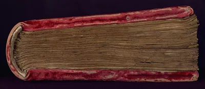 p. 8